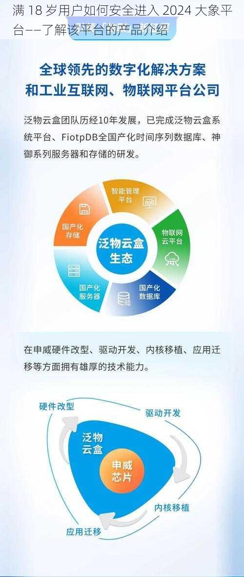 满 18 岁用户如何安全进入 2024 大象平台——了解该平台的产品介绍