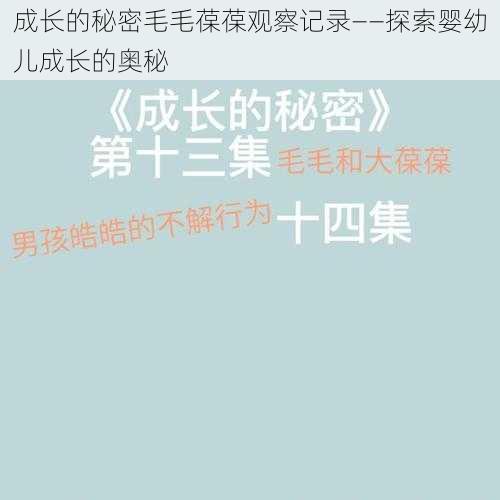 成长的秘密毛毛葆葆观察记录——探索婴幼儿成长的奥秘