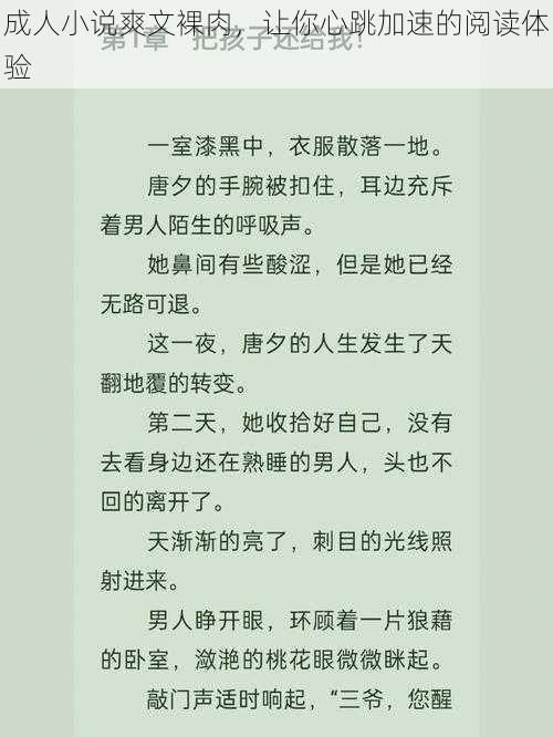 成人小说爽文裸肉，让你心跳加速的阅读体验