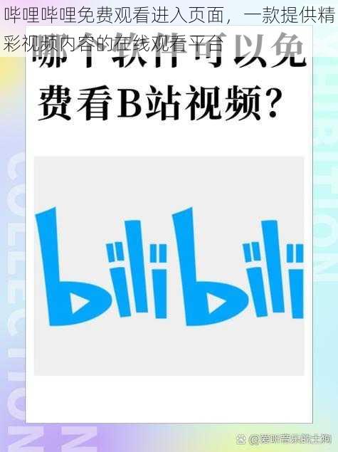 哔哩哔哩免费观看进入页面，一款提供精彩视频内容的在线观看平台