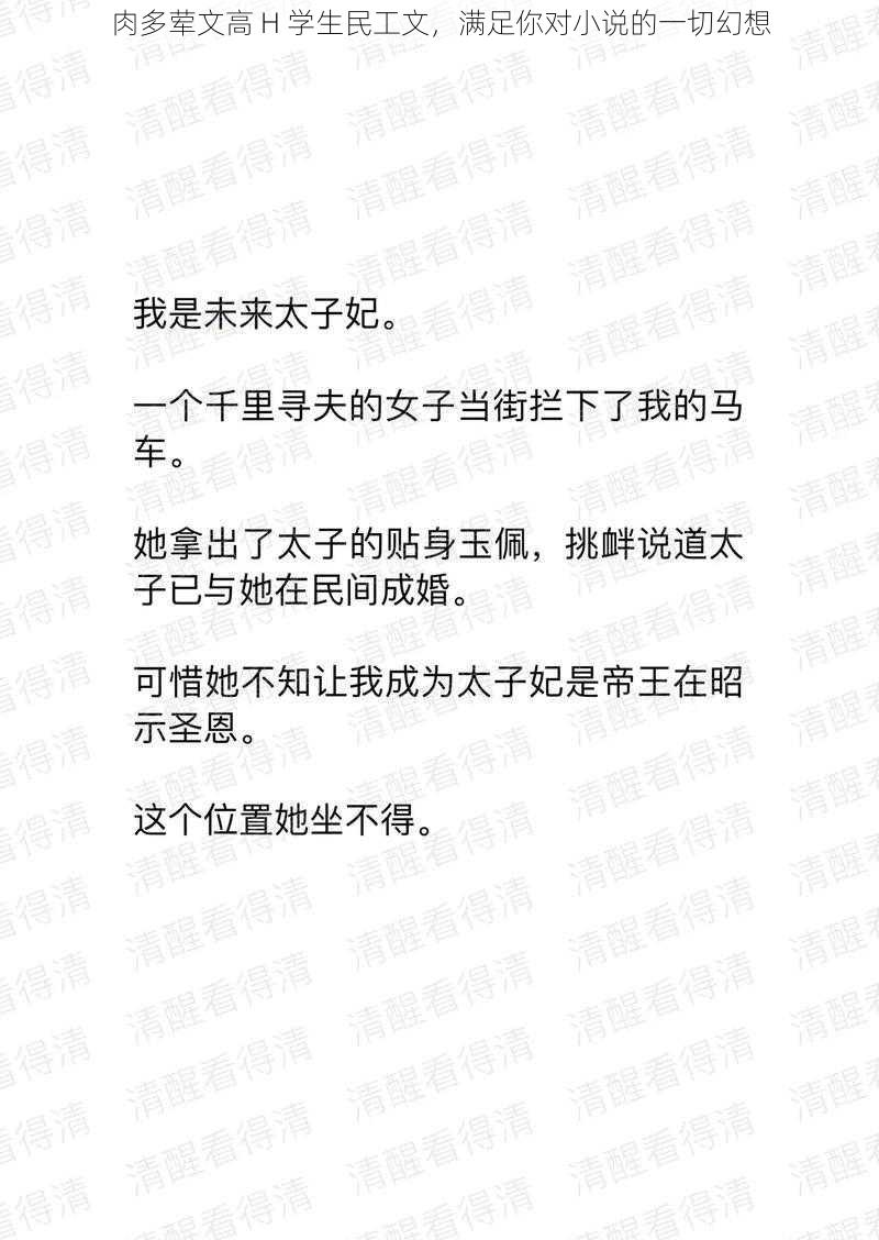 肉多荤文高 H 学生民工文，满足你对小说的一切幻想