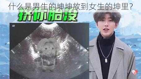 什么是男生的坤坤放到女生的坤里？