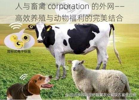 人与畜禽 corporation 的外网——高效养殖与动物福利的完美结合