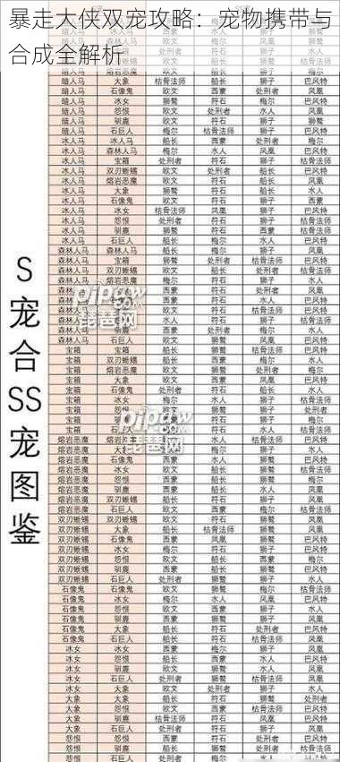 暴走大侠双宠攻略：宠物携带与合成全解析