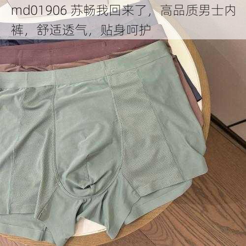 md01906 苏畅我回来了，高品质男士内裤，舒适透气，贴身呵护