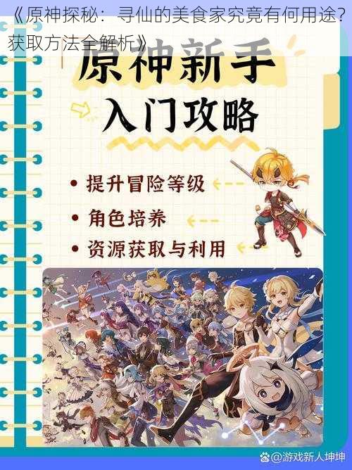 《原神探秘：寻仙的美食家究竟有何用途？获取方法全解析》