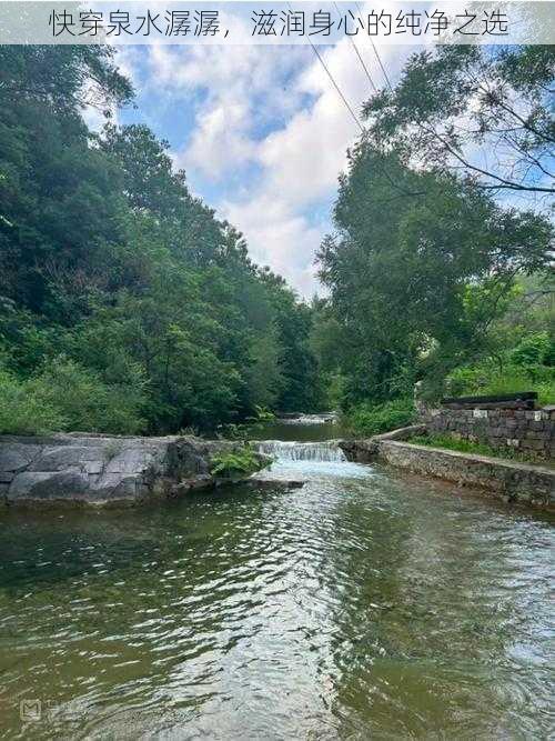 快穿泉水潺潺，滋润身心的纯净之选