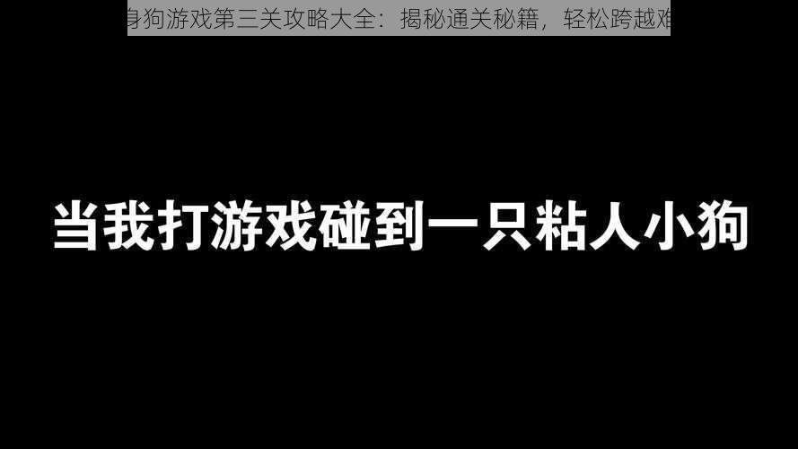 单身狗游戏第三关攻略大全：揭秘通关秘籍，轻松跨越难关