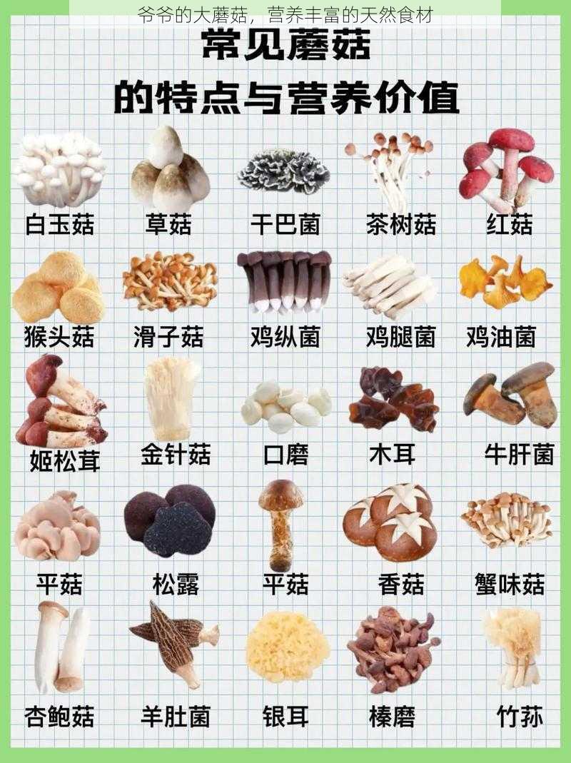 爷爷的大蘑菇，营养丰富的天然食材