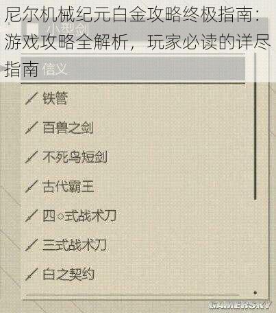 尼尔机械纪元白金攻略终极指南：游戏攻略全解析，玩家必读的详尽指南