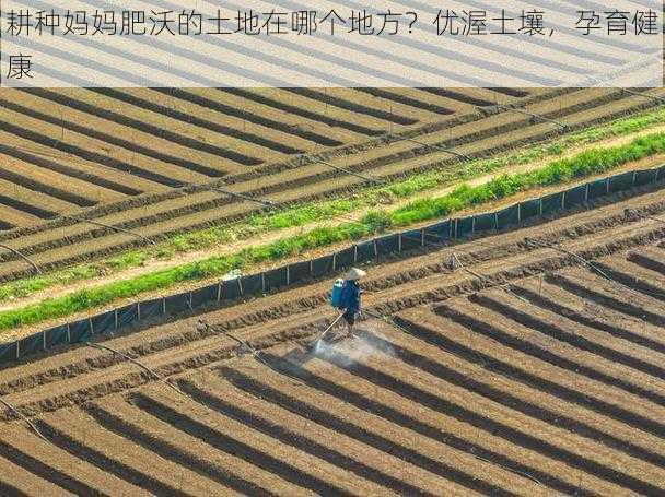 耕种妈妈肥沃的土地在哪个地方？优渥土壤，孕育健康