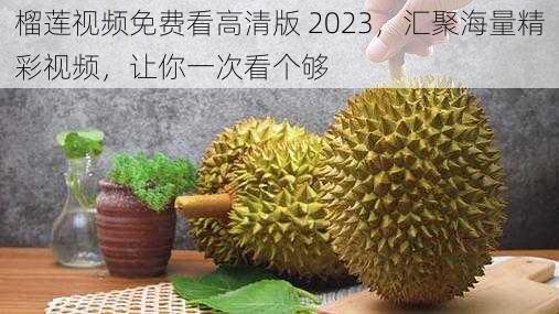 榴莲视频免费看高清版 2023，汇聚海量精彩视频，让你一次看个够