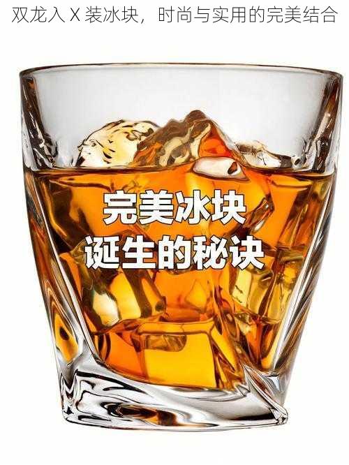 双龙入 X 装冰块，时尚与实用的完美结合