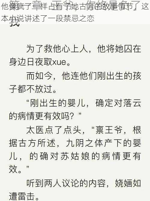 他像疯了一样占有了她古言的故事情节，这本小说讲述了一段禁忌之恋