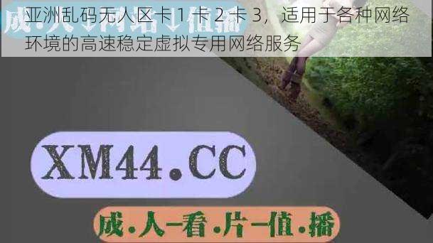 亚洲乱码无人区卡 1 卡 2 卡 3，适用于各种网络环境的高速稳定虚拟专用网络服务