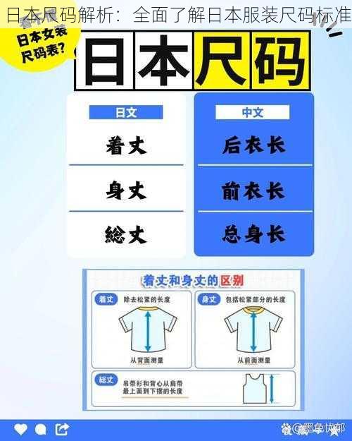 日本尺码解析：全面了解日本服装尺码标准