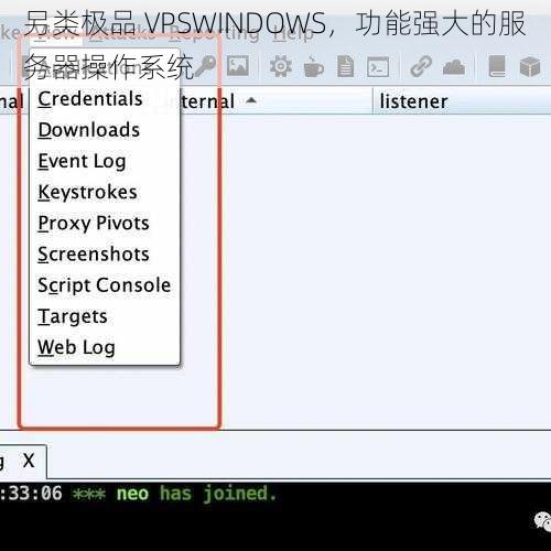 另类极品 VPSWINDOWS，功能强大的服务器操作系统