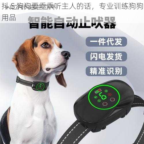 抖 S 狗狗要乖乖听主人的话，专业训练狗狗用品