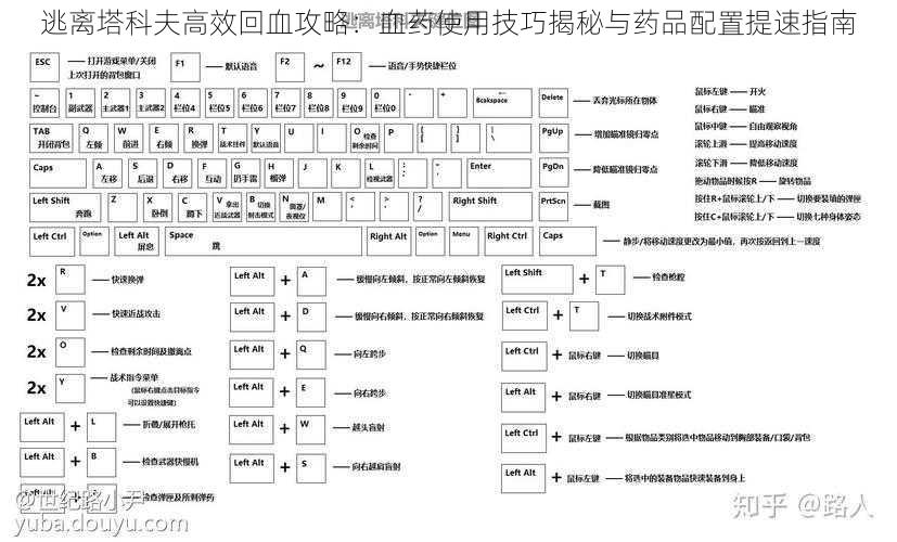 逃离塔科夫高效回血攻略：血药使用技巧揭秘与药品配置提速指南