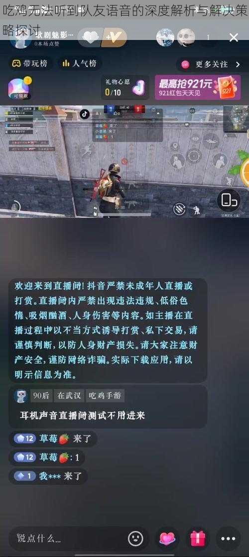 吃鸡无法听到队友语音的深度解析与解决策略探讨