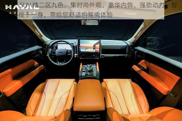 国产 SUV 精二区九色，集时尚外观、豪华内饰、强劲动力、智能科技于一身，带给您舒适的驾乘体验