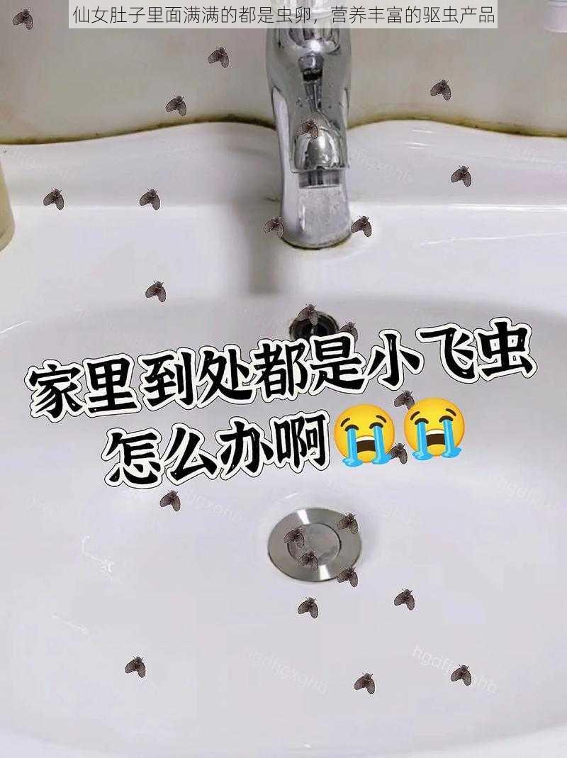 仙女肚子里面满满的都是虫卵，营养丰富的驱虫产品