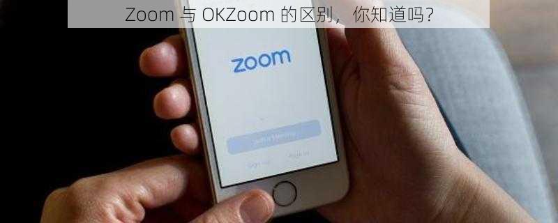 Zoom 与 OKZoom 的区别，你知道吗？