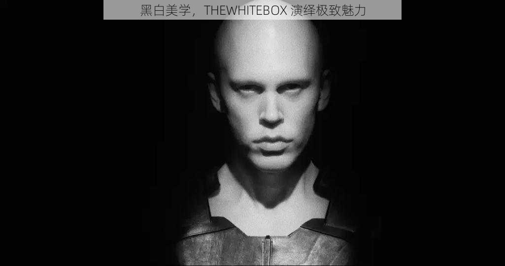 黑白美学，THEWHITEBOX 演绎极致魅力