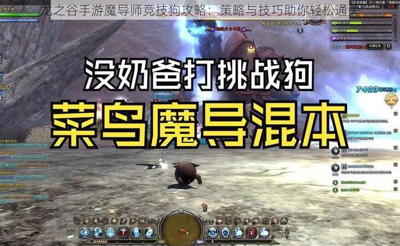 龙之谷手游魔导师竞技狗攻略：策略与技巧助你轻松通关