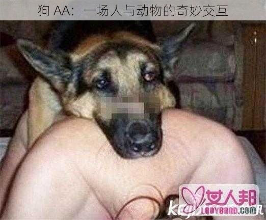 狗 AA：一场人与动物的奇妙交互