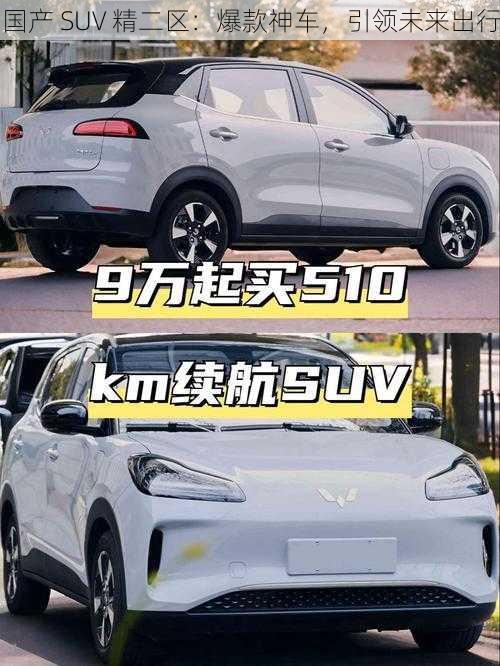 国产 SUV 精二区：爆款神车，引领未来出行