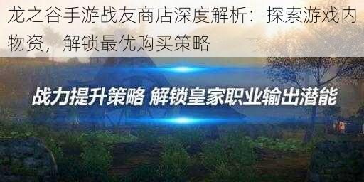 龙之谷手游战友商店深度解析：探索游戏内物资，解锁最优购买策略