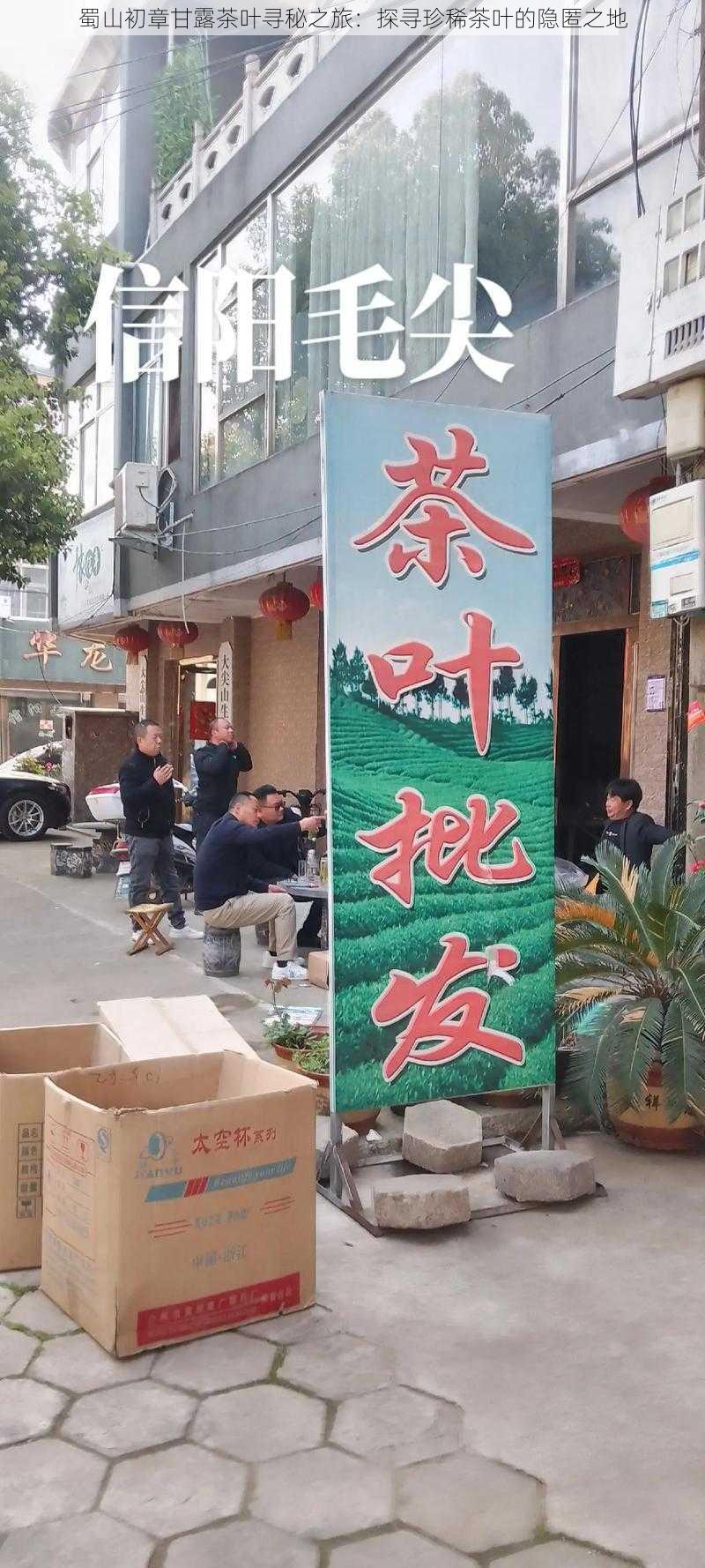 蜀山初章甘露茶叶寻秘之旅：探寻珍稀茶叶的隐匿之地