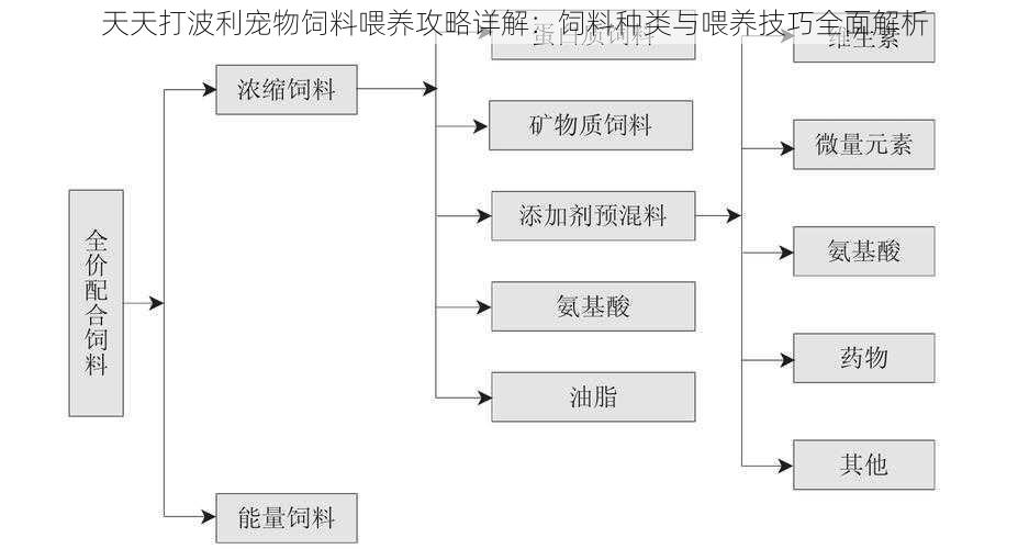 天天打波利宠物饲料喂养攻略详解：饲料种类与喂养技巧全面解析