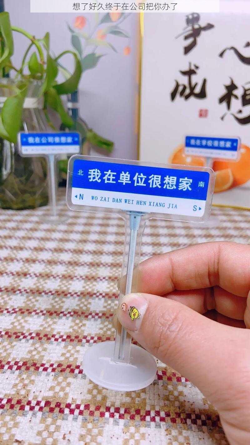 想了好久终于在公司把你办了