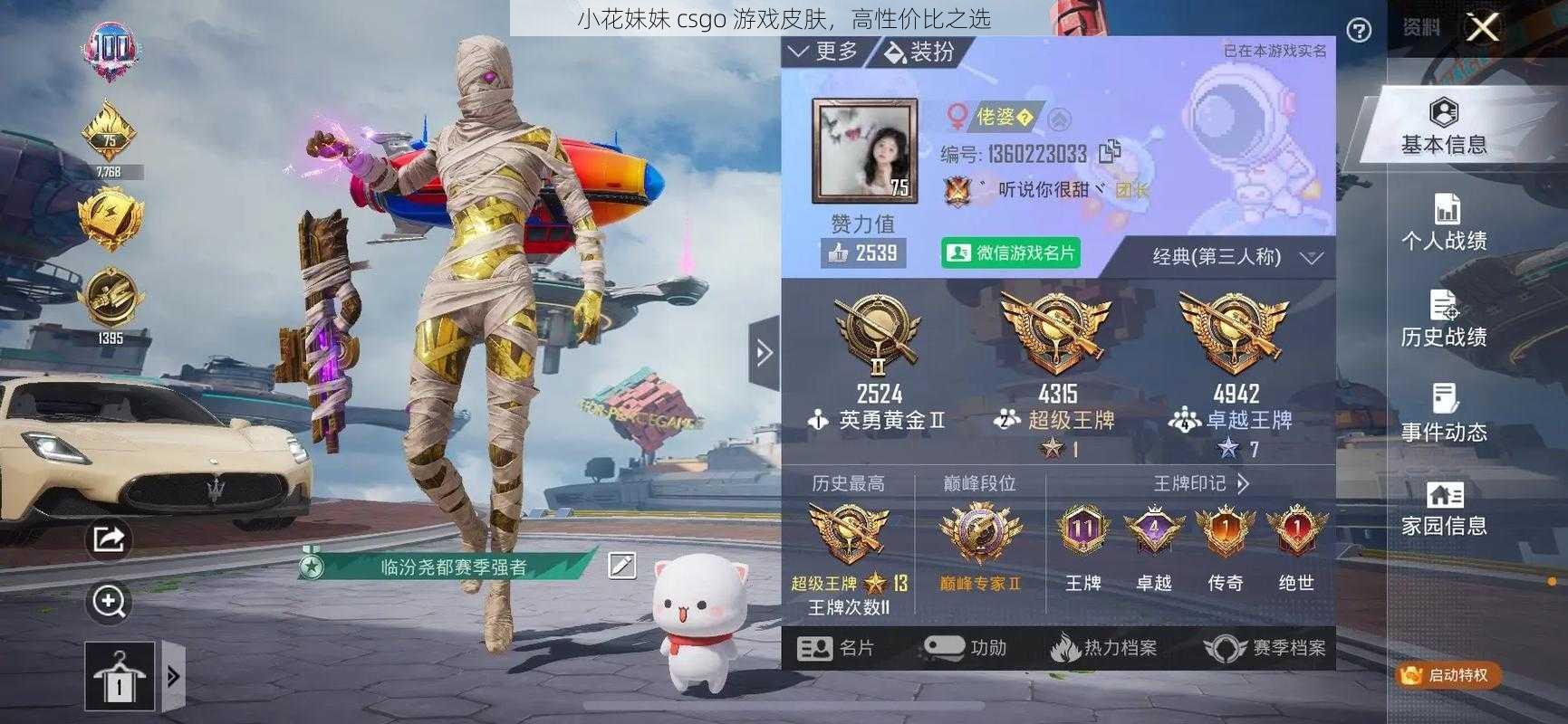 小花妹妹 csgo 游戏皮肤，高性价比之选