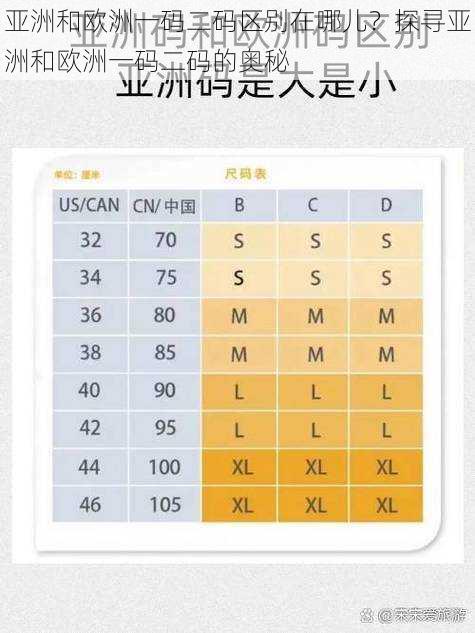 亚洲和欧洲一码二码区别在哪儿？探寻亚洲和欧洲一码二码的奥秘