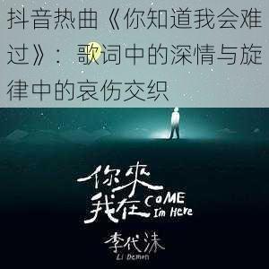 抖音热曲《你知道我会难过》：歌词中的深情与旋律中的哀伤交织