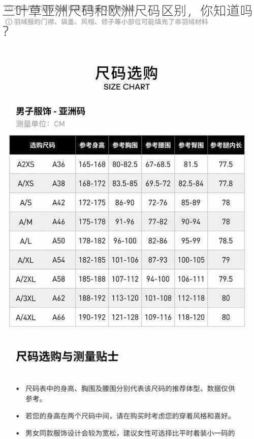 三叶草亚洲尺码和欧洲尺码区别，你知道吗？