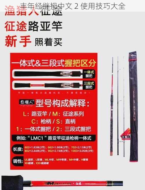 丰年经继拇中文 2 使用技巧大全