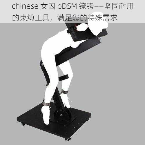 chinese 女囚 bDSM 镣铐——坚固耐用的束缚工具，满足您的特殊需求