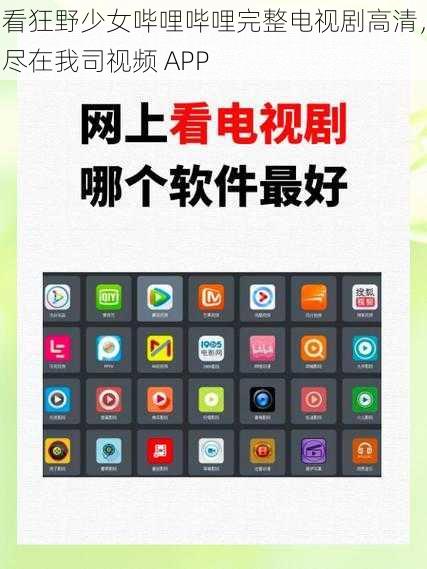 看狂野少女哔哩哔哩完整电视剧高清，尽在我司视频 APP