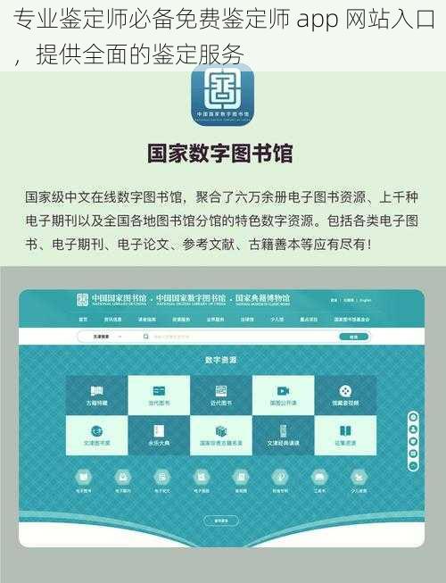 专业鉴定师必备免费鉴定师 app 网站入口，提供全面的鉴定服务