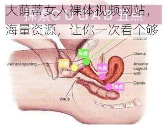 大荫蒂女人裸体视频网站，海量资源，让你一次看个够