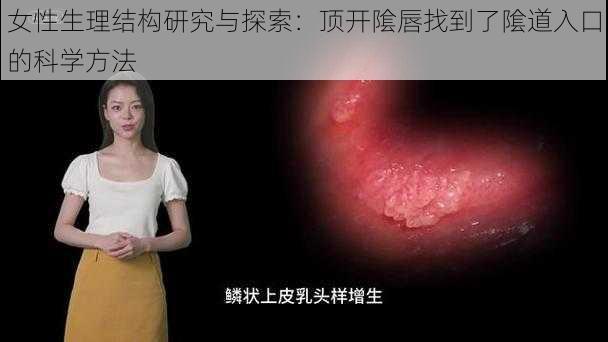 女性生理结构研究与探索：顶开隂唇找到了隂道入口的科学方法