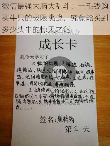 微信最强大脑大乱斗：一毛钱购买牛只的极限挑战，究竟能买到多少头牛的惊天之谜