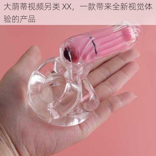 大荫蒂视频另类 XX，一款带来全新视觉体验的产品