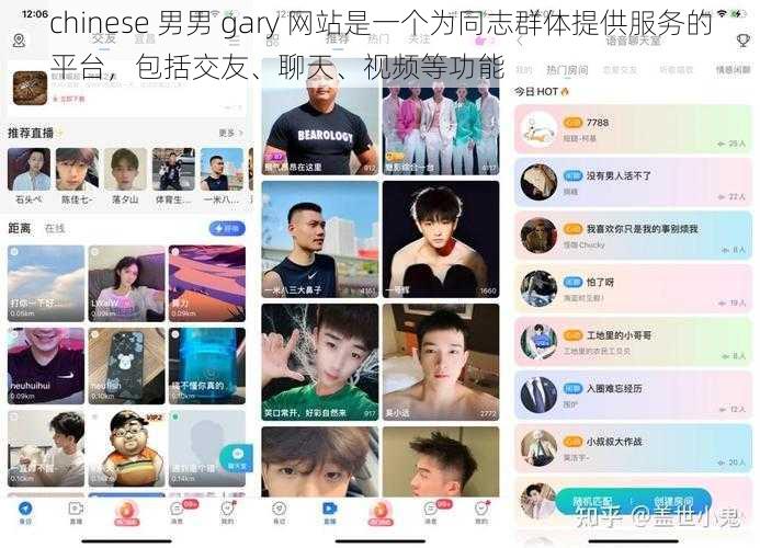 chinese 男男 gary 网站是一个为同志群体提供服务的平台，包括交友、聊天、视频等功能