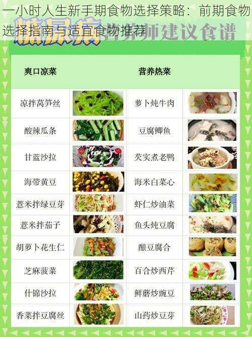 一小时人生新手期食物选择策略：前期食物选择指南与适宜食物推荐