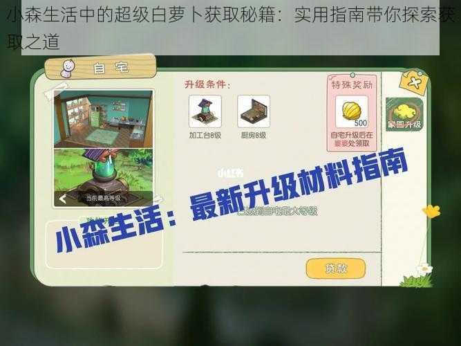 小森生活中的超级白萝卜获取秘籍：实用指南带你探索获取之道